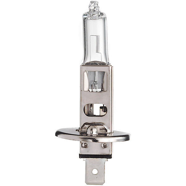 Scharnberger+Hasenbein Autolampe Halogen H1 P14,5s 12V 55W 81111