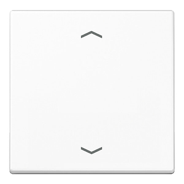 JUNG Steuertaste Standard Symbole Pfeile A 1700 P WW