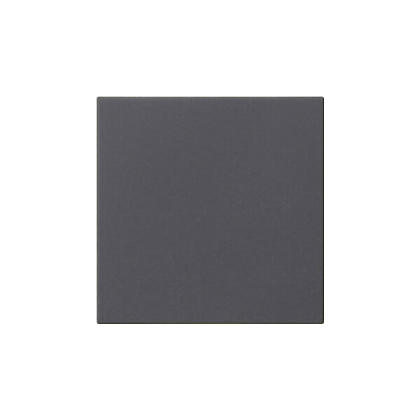 Gira Bedienaufsatz System anth 536028