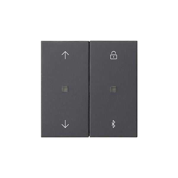 Gira Jalousie- + Schaltuhr Bluetooth Sys.55 Ant 536728