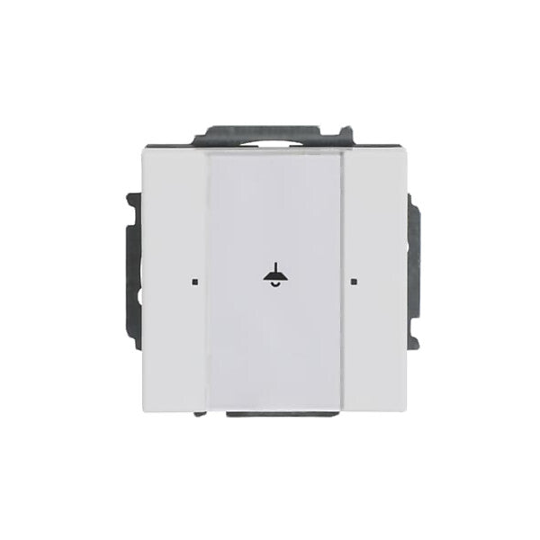 Busch-Jaeger Tastsensor, 1fach 6125/01-84