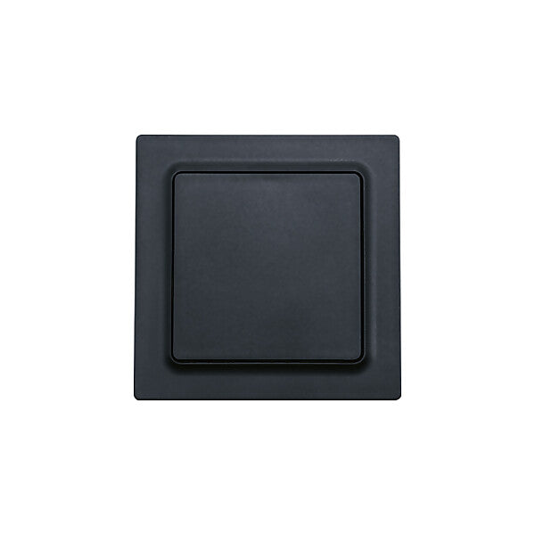 Eltako Funktaster ant/matt 55x55mm F2T55E-am