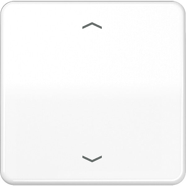 JUNG Steuertaste Standard Symbole Pfeile CD 1700 P WW