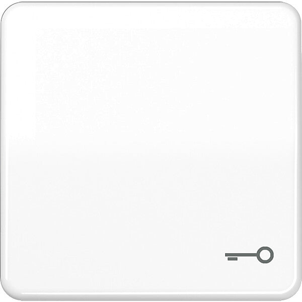 JUNG Wippe Symbol TÜR aws für Taster CD 590 T WW