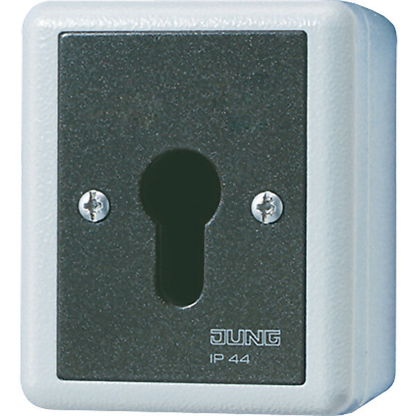 JUNG Schlüsselschalter 16AX 250V 2-pol. 806.28 G