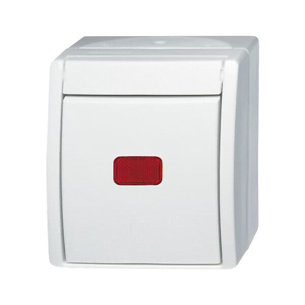 Busch-Jaeger Kontr.-Wechselschalter 2601/6 SKW-54
