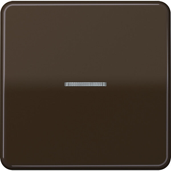 JUNG Wippe Lichtleiter br für Taster CD 590 KO5 BR