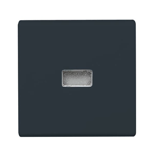 Busch-Jaeger Wippe anth Kontroll-Wechsel 2107-35