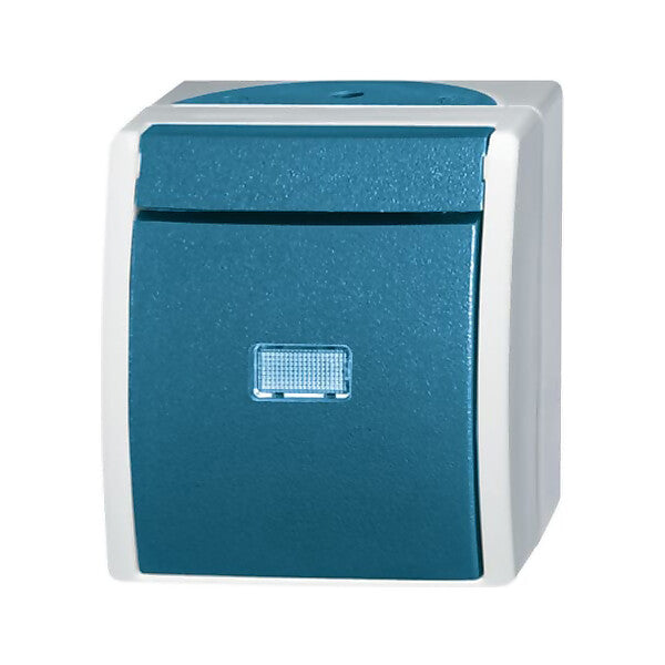 Busch-Jaeger Wechselschalter AP 2601/6 WGL-53