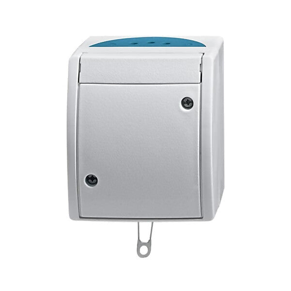 Busch-Jaeger Zugwechselschalter AP 2610/6 W-53