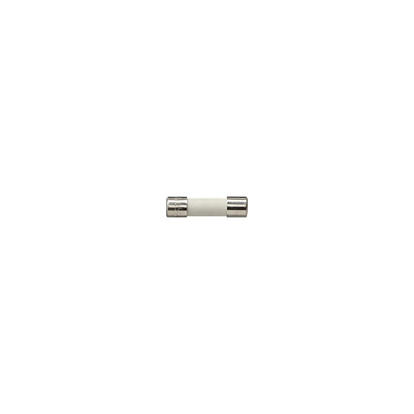 Gira Ersatzsicherung 2,5A T 049732