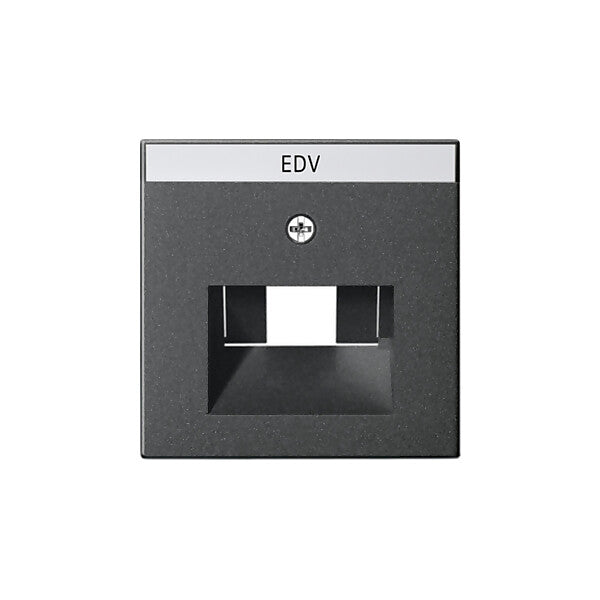 Gira Zentralplatte UAE/IAE anth m.Schriftf.,System55 028428