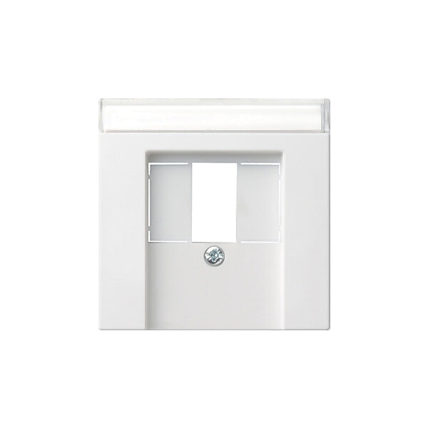 Gira Zentralplatte rws-gl f. TAE-Steckdose 087603