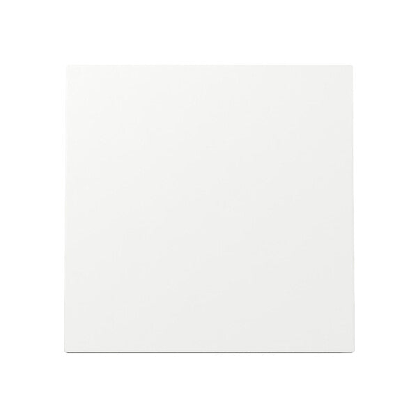Gira Wippe Schalter Reinweiß 329670