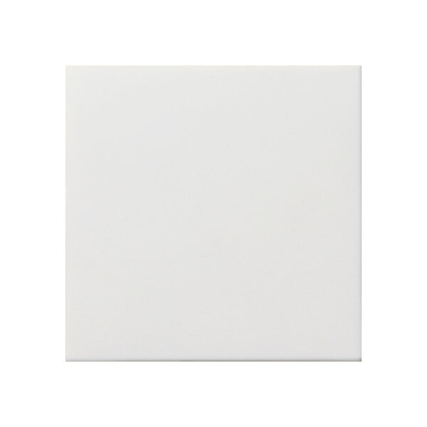 Gira Blindabdeckung rws-gl 0268112