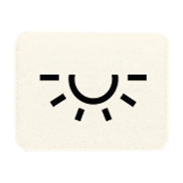 JUNG Symbol ws LICHT 33 L