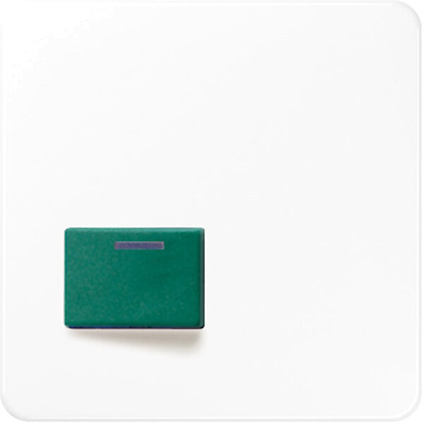 JUNG Abdeckung aws für Fab.Ackermann CD 642 C WW