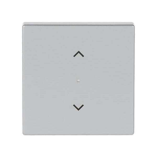 Busch-Jaeger Wippe 1-f Symbol Jalousie alusilber 6232-10-83