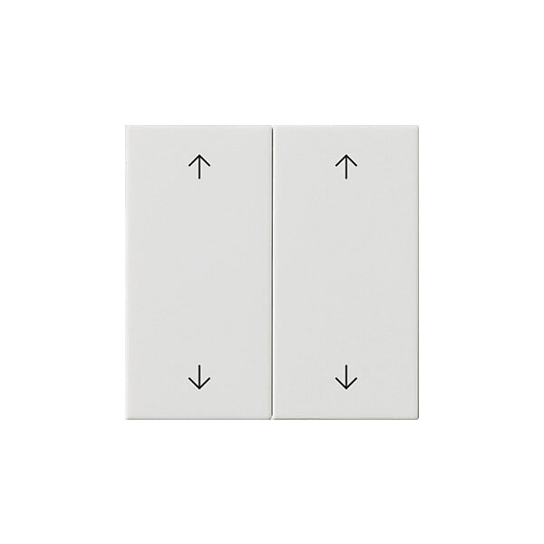 Gira Wippe 2-fach Reinweiß 538703