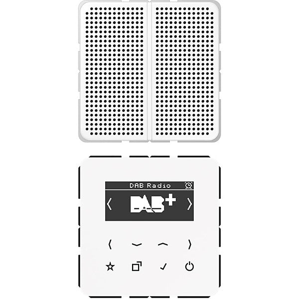 JUNG Smart DAB+ Digitalradio Display,SetMono,1LS DAB CD1 WW