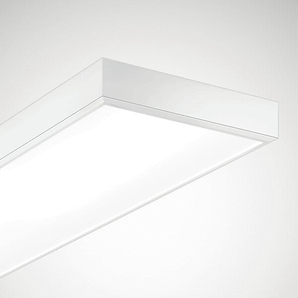TRILUX LED-Sporthallenleuchte 4000K DALI Actison Fi #7427951
