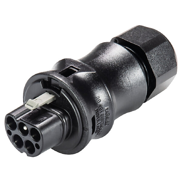 Wieland Steckverbinder Stecker 5p,D=6-10mm,sw 96.052.4053.1