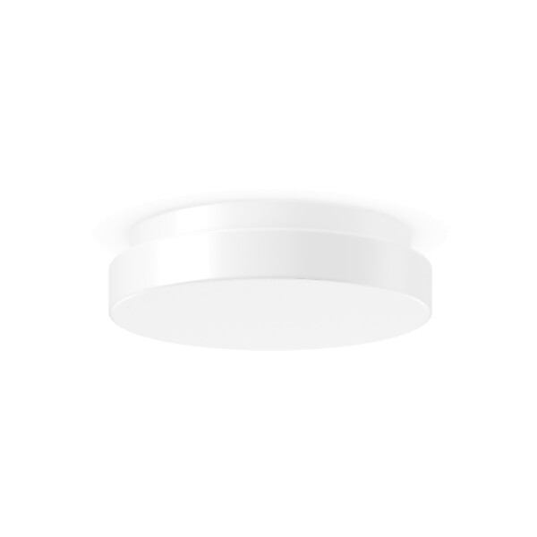 RZB LED-Decken-/Wandleuchte 4000K D300 H75 211209.002.1