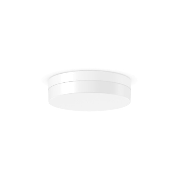 RZB LED-Wand-u. Deckenleuchte HF-Master 3000K 312135.002.2.19