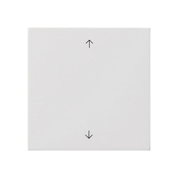 Gira Wippe 1-fach Reinweiß 5389112