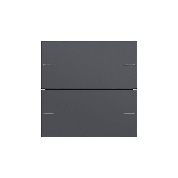 Gira Wippenset 2-fach Tastsensor Anthrazit 575228