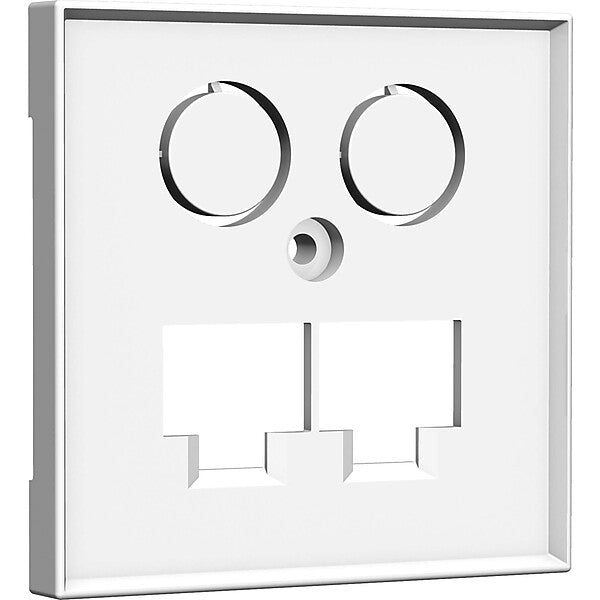 homeway Zentralplatte 55x55mm rws TV+LAN/LAN 55x55