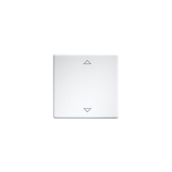 Eltako Wippe lasergraviert f.55x55mm rws W-FT55-wg+2P