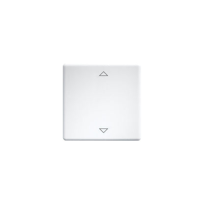 Eltako Wippe lasergraviert f.55x55mm rws W-FT55-wg+2P