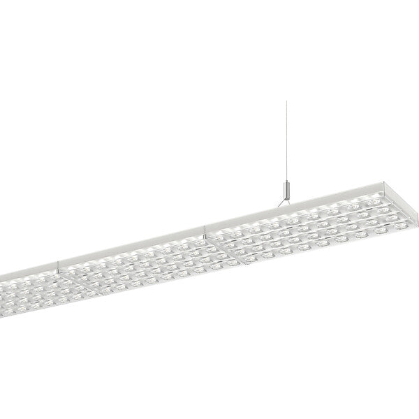 RIDI LED-Pendelleuchte D/I 840, DALI LENSES-PDI #0637810