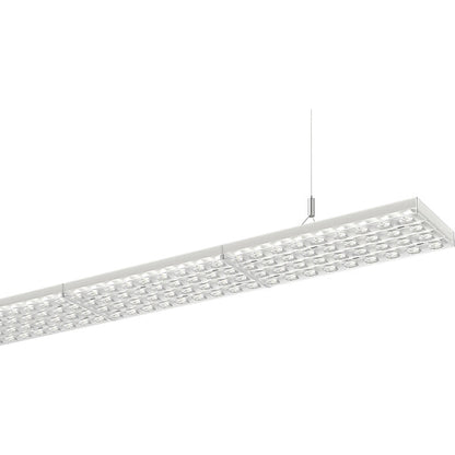 RIDI LED-Pendelleuchte D/I 840, DALI LENSES-PDI #0637810