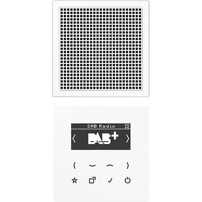 JUNG Smart DAB+ Digitalradio Set Mono 1LS DAB LS1 WW